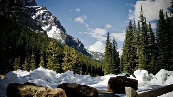Paisaje montañoso nevado con rocas y un denso bosque de coníferas cerca de la Holy Cross Catholic Secondary School.