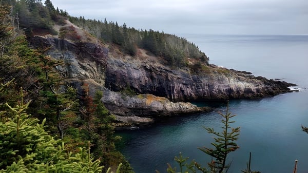 Vista de la costa rocosa y el bosque junto al agua cerca de la Holy Spirit High School.