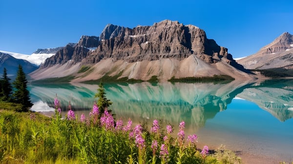 Un lago turquesa frente a montañas nevadas y flores silvestres en la naturaleza cerca de la Holy Trinity Catholic High School.