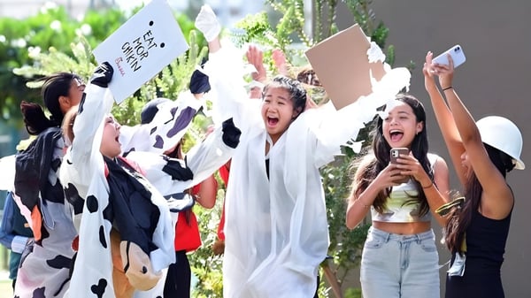 Un grupo de estudiantes de la Iolani School sostiene carteles al aire y vitorea frente a un fondo verde.