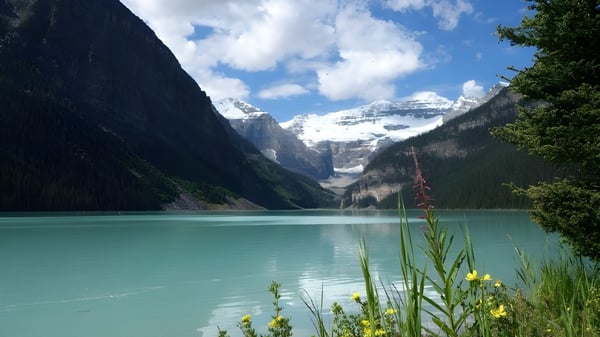 Vista de un lago alpino con montañas nevadas y flores en primer plano cerca de la John Maland High School.