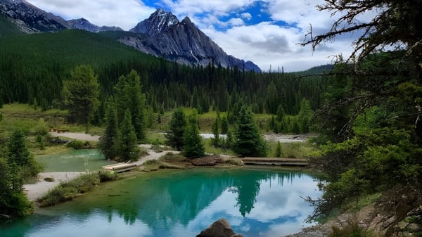 Un tranquilo lago de montaña refleja las cumbres y los bosques de pinos en el paisaje cerca del John Taylor Collegiate.