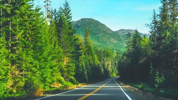 Una carretera sinuosa atraviesa bosques verdes con montañas de fondo cerca de la Kalamalka Secondary School.