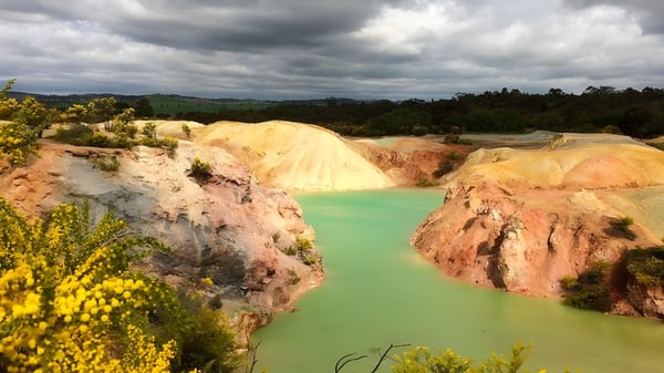 Una imagen del paisaje con flores silvestres amarillas frente a rocas coloridas y un lago turquesa muestra la naturaleza alrededor de la Kapunda High School.