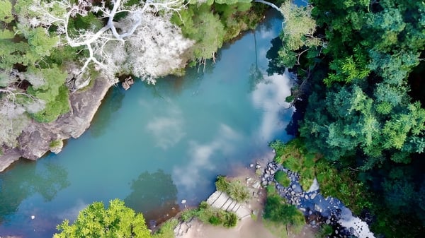 Un río tranquilo fluye a través de un paisaje verde cerca de la Kedron State High School.