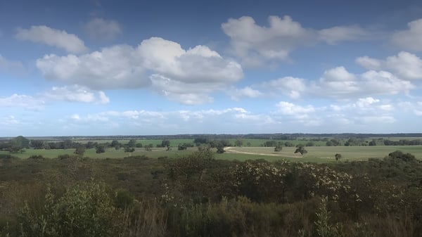 Un amplio paisaje verde con suaves colinas y árboles dispersos detrás del campus de la Keith Area School.