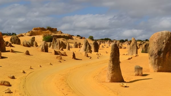 Un amplio paisaje desértico con altas formaciones rocosas y un sendero serpenteante bajo un cielo nublado.