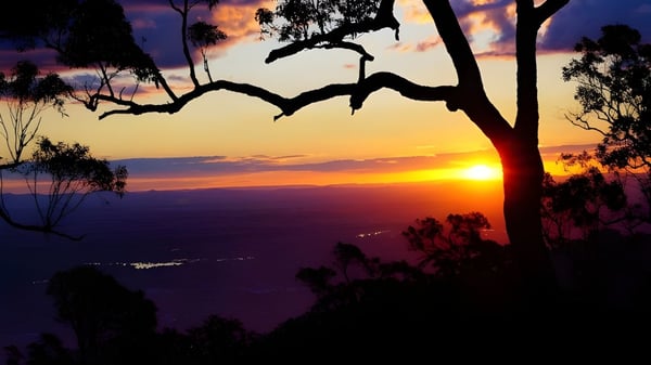 Un atardecer sobre un paisaje montañoso con árboles en primer plano en el terreno de la Kingaroy State High School.