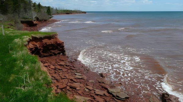 Una costa rocosa con oleaje frente a un fondo boscoso cerca de la Kinkora Regional High School.
