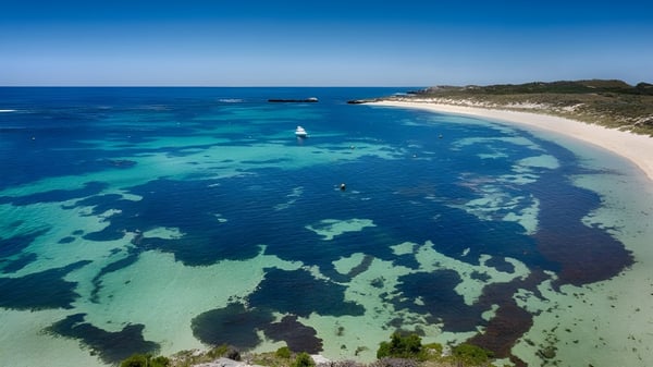 Toma aérea de la costa con agua clara y vegetación cerca de Kinross College.