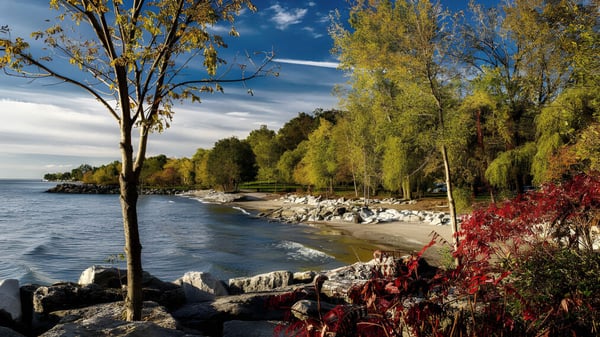 Un paisaje otoñal con una orilla rocosa y hojas de colores frente al Lambton Central Collegiate & Vocational School.
