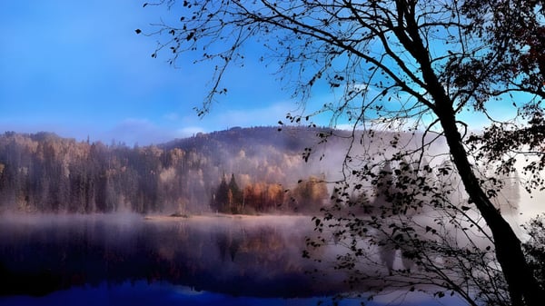 Un lago tranquilo, rodeado de bosque, muestra un paisaje natural pacífico cerca de LaSalle Community Comprehensive High School.