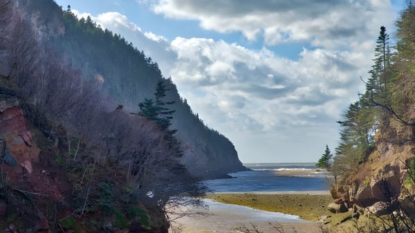 Una costa rocosa con playa de arena y densos bosques de coníferas bajo un cielo nublado cerca de la Leo Hayes High School.