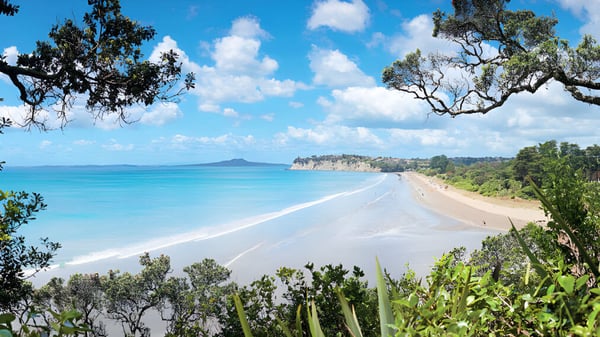 Una playa de arena blanca con vegetación verde y montañas se puede ver cerca del Long Bay College.