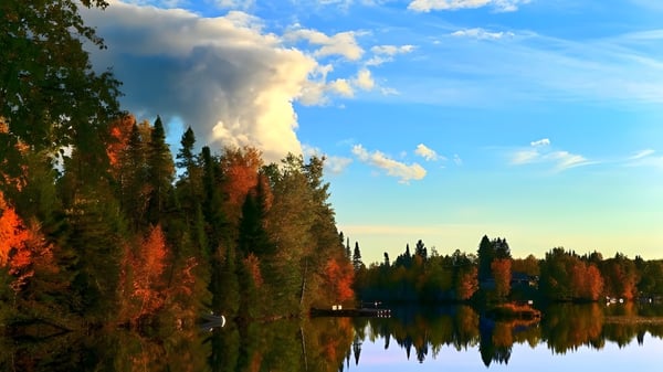 Un lago tranquilo con un paisaje de árboles otoñales y un cielo nublado en el terreno del Lower Canada College.