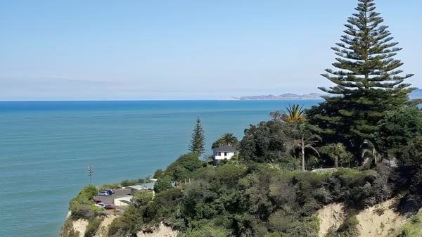 Ladera verde con vista al vasto mar y montañas de fondo en el terreno del Lynfield College.