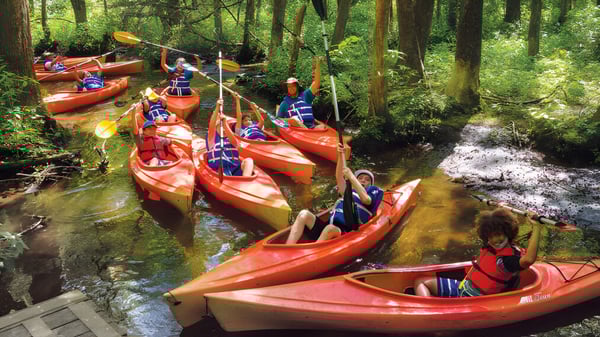 Estudiantes de la Mabel Park State High School reman en kayaks naranjas a través de un camino acuático boscoso.