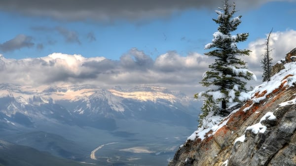 Un pino cubierto de nieve frente a un paisaje montañoso con nubes dramáticas en el terreno de la Maple Ridge Secondary School en Ontario.