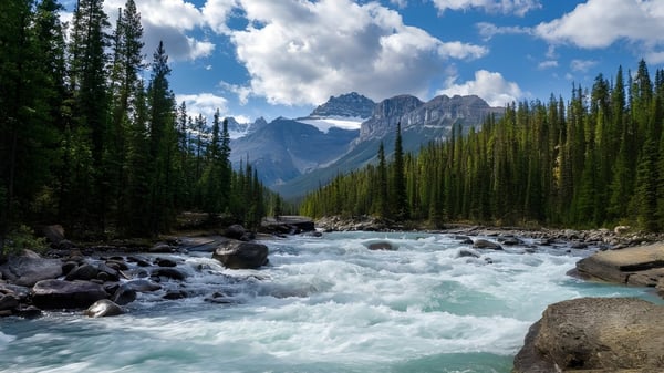Un paisaje montañoso con un torrente de montaña y un valle boscoso cerca de la Medicine Hat High School.