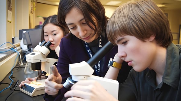 Tres estudiantes de la Mercy Secondary School Ballymahon utilizan concentradamente microscopios en el laboratorio escolar.