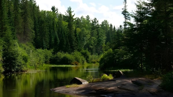 Un tranquilo lago con árboles circundantes en el terreno de la Milliken Mills Secondary School.