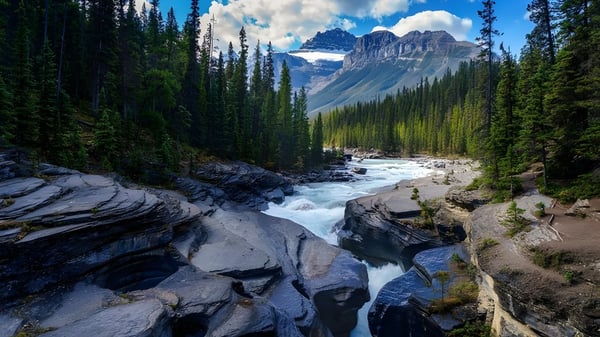 Un paisaje fluvial con montañas y bosque cerca de la Morell Regional High School.