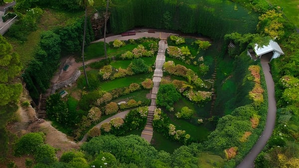 Un puente de madera cruza un barranco en el terreno de la Mount Gambier High School en medio de una vegetación exuberante.