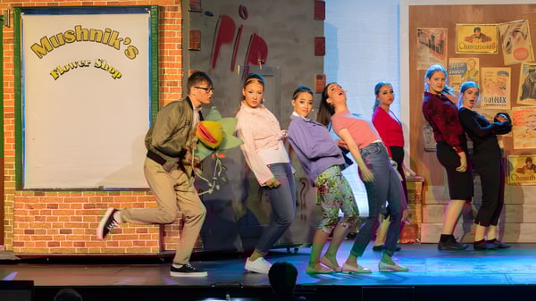 Un grupo de estudiantes está de pie en trajes coloridos en el escenario del Mullingar Community College frente a una pared de ladrillos con el letrero Musique.