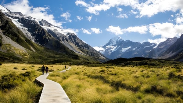 Un camino de madera atraviesa un valle verde con montañas nevadas al fondo cerca de la Napier Boys High School.