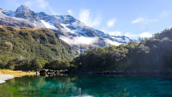 Un tranquilo lago alpino con montañas cubiertas de nieve y plantas verdes se refleja en aguas claras cerca de Nayland College.