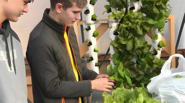 Una persona con un suéter gris examina hojas verdes frescas en una sala de Nebraska Christian Schools.