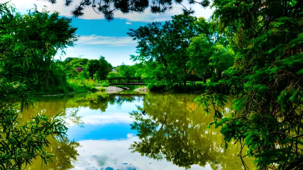 Un tranquilo lago con un puente de madera y un entorno verde en el campus de la Newmarket High School.