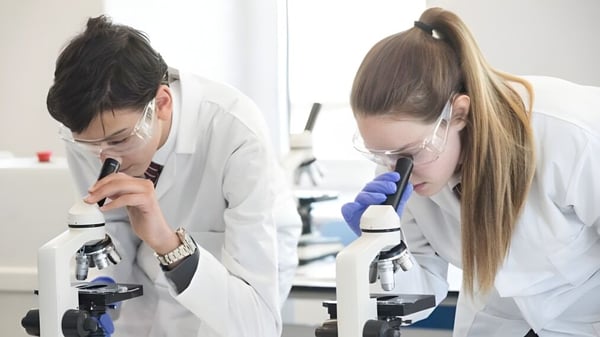Dos estudiantes de la North London Grammar School están examinando algo en el laboratorio bajo un microscopio.