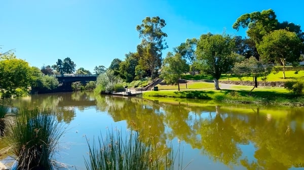 Un río tranquilo con vegetación exuberante bajo un cielo azul en el campus de la Norwood International High School.