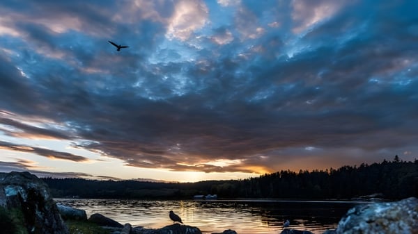 El atardecer sobre un lago tranquilo con un bosque en primer plano en el terreno de la Oak Bay Secondary High School.