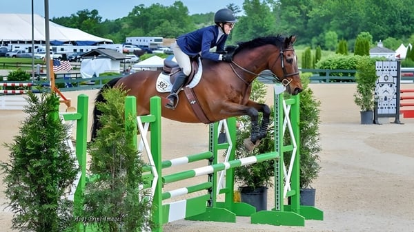 Un jinete de la Oldfields School supera en un terreno exterior un recorrido de obstáculos verde y blanco durante el salto ecuestre.