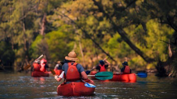 Un grupo de estudiantes de la Ormeau Woods State High School rema con chalecos salvavidas rojos en kayaks a través de un río con vegetación otoñal colorida.