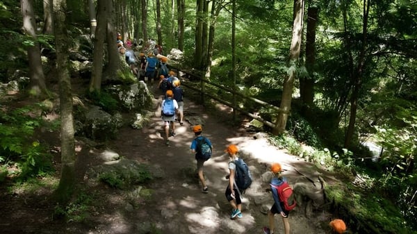 Un grupo de estudiantes de la Our Lady’s Secondary School camina por un sendero boscoso.