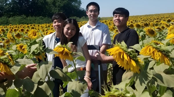 Un grupo de cuatro personas está en las Overland Christian Schools en un campo lleno de brillantes girasoles bajo un cielo azul.