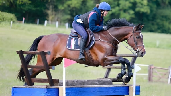 Un jinete con casco azul salta con un caballo marrón sobre un obstáculo en el terreno del Pangbourne College.
