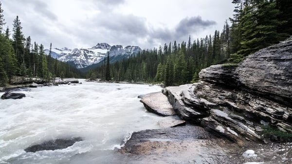 Un río de montaña fluye a través de un denso bosque, con picos nevados al fondo, cerca de la Pasadena Academy.