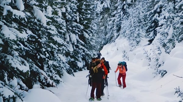Dos personas en ropa de invierno caminan a través del bosque nevado en el terreno de la Pemberton Secondary School.