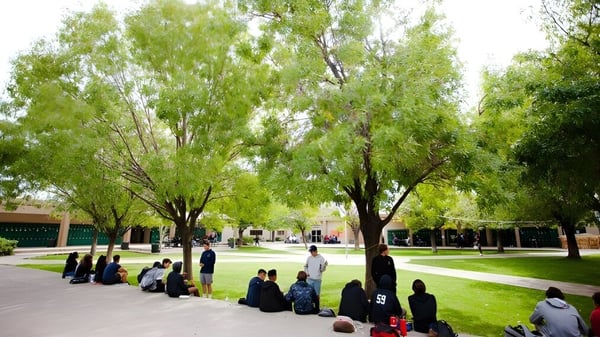 Estudiantes de la Phoenix Christian Preparatory School en el campus verde junto a un camino bordeado de sauces.