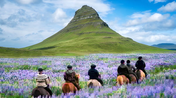 Estudiantes de la Phoenix Magnet Academy montan a caballo a través de un campo con lupinas moradas frente a una montaña cubierta de vegetación.