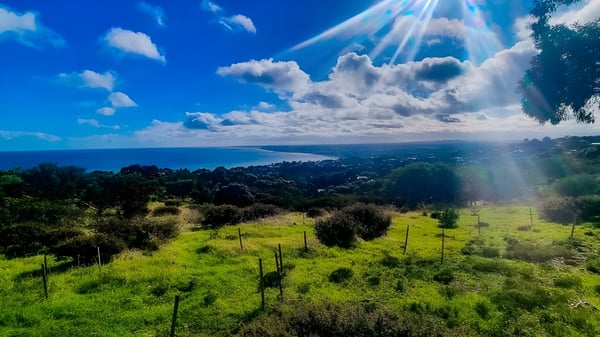 Una pradera verde con vista a una ciudad costera y el cielo sobre el terreno del Plympton International College.