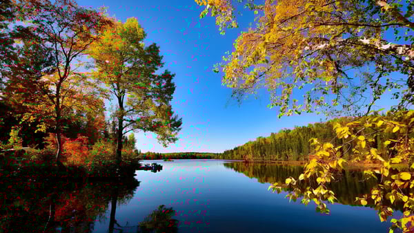 Un lago con follaje otoñal y cielo claro cerca de la Polyvalente Louis-Mailloux.