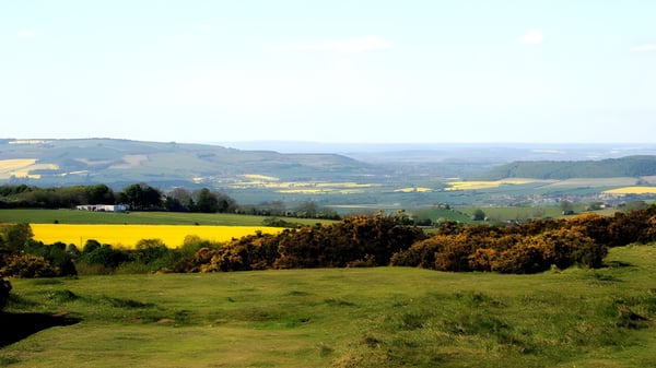 Un paisaje pintoresco con campos amarillos y bosques cerca del Prior Park College.