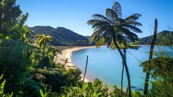 Un paisaje de playa tropical con palmeras y montañas al fondo cerca de la Riccarton High School.