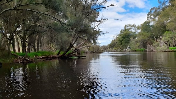 Un río tranquilo fluye a través de un paisaje boscoso cerca de la Riverton and District High School.