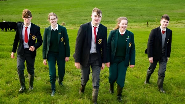 Estudiantes de la Royal School Cavan están en un campo cubierto de hierba con vacas al fondo.